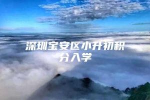 深圳宝安区小升初积分入学