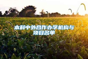 本科中外合作办学机构与项目名单