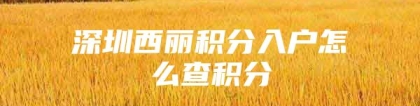 深圳西丽积分入户怎么查积分