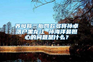 养母称三胎罚款多将孙卓落户黑龙江 孙海洋最担心的问题是什么？