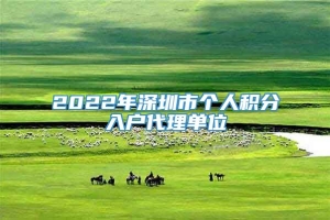 2022年深圳市个人积分入户代理单位
