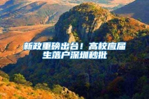 新政重磅出台！高校应届生落户深圳秒批