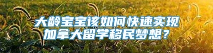 大龄宝宝该如何快速实现加拿大留学移民梦想？