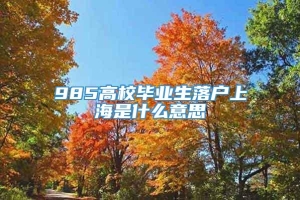 985高校毕业生落户上海是什么意思