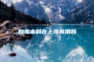 自考本科在上海有用吗