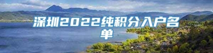 深圳2022纯积分入户名单