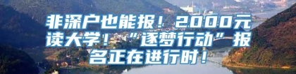 非深户也能报！2000元读大学！“逐梦行动”报名正在进行时！