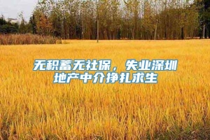 无积蓄无社保，失业深圳地产中介挣扎求生