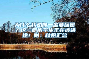 为什么我劝你一定要回国？这一届留学生正在被哄抢！附：秋招汇总