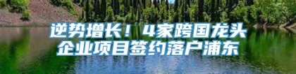 逆势增长！4家跨国龙头企业项目签约落户浦东