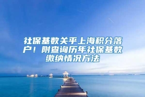 社保基数关乎上海积分落户！附查询历年社保基数缴纳情况方法