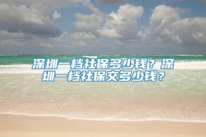 深圳一档社保多少钱？深圳一档社保交多少钱？