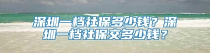 深圳一档社保多少钱？深圳一档社保交多少钱？
