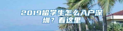 2019留学生怎么入户深圳？看这里