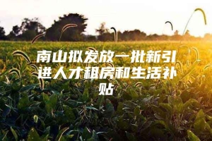 南山拟发放一批新引进人才租房和生活补贴