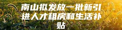 南山拟发放一批新引进人才租房和生活补贴