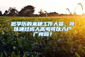 低学历的来穗工作人员，可以通过成人高考可以入户广州吗？