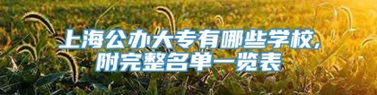 上海公办大专有哪些学校,附完整名单一览表