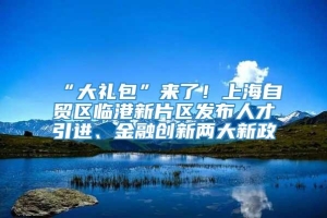 “大礼包”来了！上海自贸区临港新片区发布人才引进、金融创新两大新政