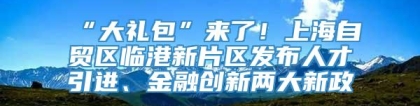 “大礼包”来了！上海自贸区临港新片区发布人才引进、金融创新两大新政