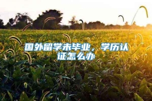 国外留学未毕业，学历认证怎么办