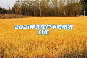 2021年非深户中考情况分析