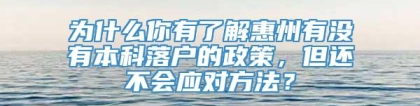 为什么你有了解惠州有没有本科落户的政策，但还不会应对方法？