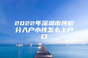 2022年深圳市纯积分入户小孩怎么上户口