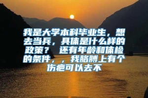 我是大学本科毕业生，想去当兵，具体是什么样的政策？ 还有年龄和体检的条件，，我胳膊上有个伤疤可以去不