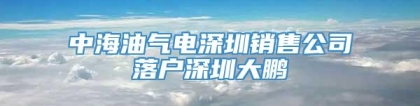 中海油气电深圳销售公司落户深圳大鹏