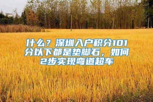 什么？深圳入户积分101分以下都是垫脚石，如何2步实现弯道超车