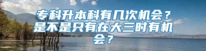 专科升本科有几次机会？是不是只有在大三时有机会？