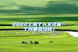 2022上海个人交社保一个月要多少钱？