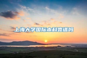 上海大学国际本科靠谱吗