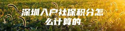 深圳入户社保积分怎么计算的