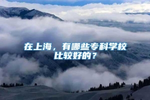 在上海，有哪些专科学校比较好的？