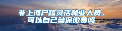 非上海户籍灵活就业人员，可以自己参保缴费吗