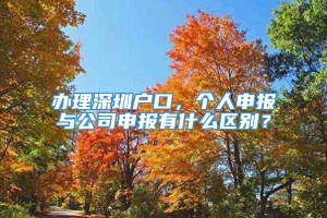 办理深圳户口，个人申报与公司申报有什么区别？