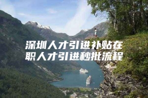 深圳人才引进补贴在职人才引进秒批流程