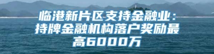 临港新片区支持金融业：持牌金融机构落户奖励最高6000万