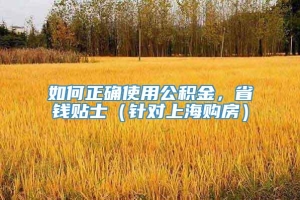 如何正确使用公积金，省钱贴士（针对上海购房）