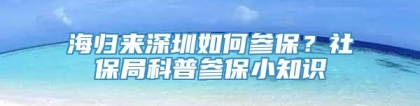 海归来深圳如何参保？社保局科普参保小知识