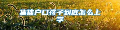 集体户口孩子到底怎么上学