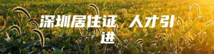 深圳居住证 人才引进