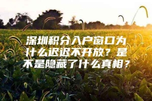 深圳积分入户窗口为什么迟迟不开放？是不是隐藏了什么真相？