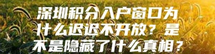 深圳积分入户窗口为什么迟迟不开放？是不是隐藏了什么真相？