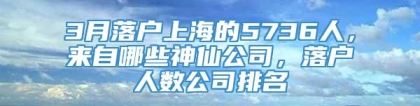 3月落户上海的5736人，来自哪些神仙公司，落户人数公司排名