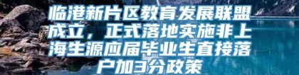 临港新片区教育发展联盟成立，正式落地实施非上海生源应届毕业生直接落户加3分政策