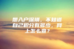 想入户深圳，不知道自己积分有多少，网上怎么查？