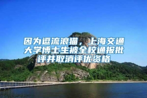 因为逗流浪猫，上海交通大学博士生被全校通报批评并取消评优资格